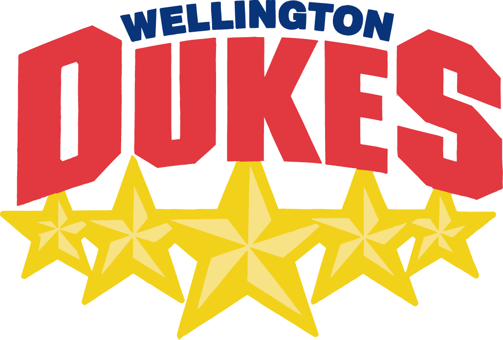 Wellington Dukes 2006-Pres Primary Logo iron on transfers for clothing